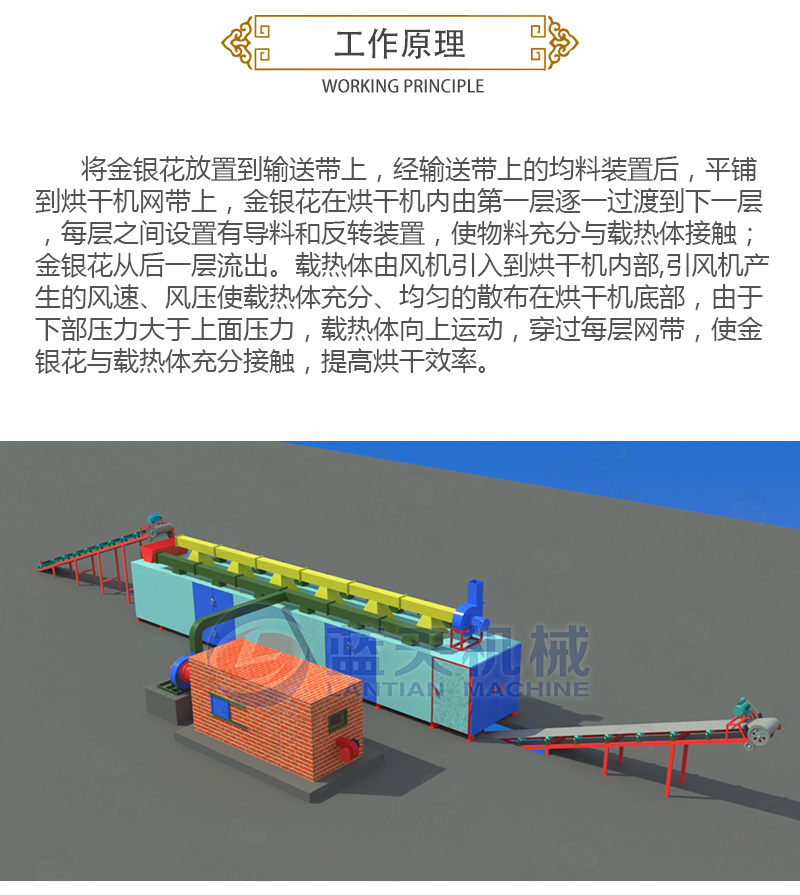 金銀花網(wǎng)帶式烘干機工作原理