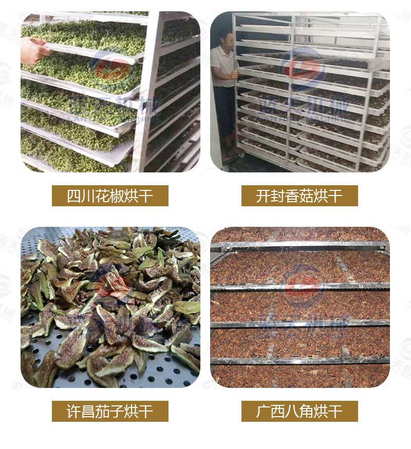 地黃烘干機廠(chǎng)家實(shí)拍