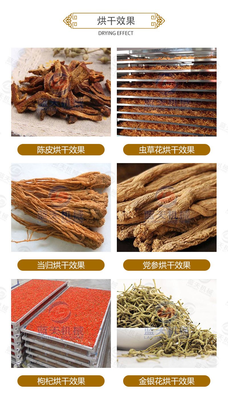 中藥材網(wǎng)帶烘干機烘干效果