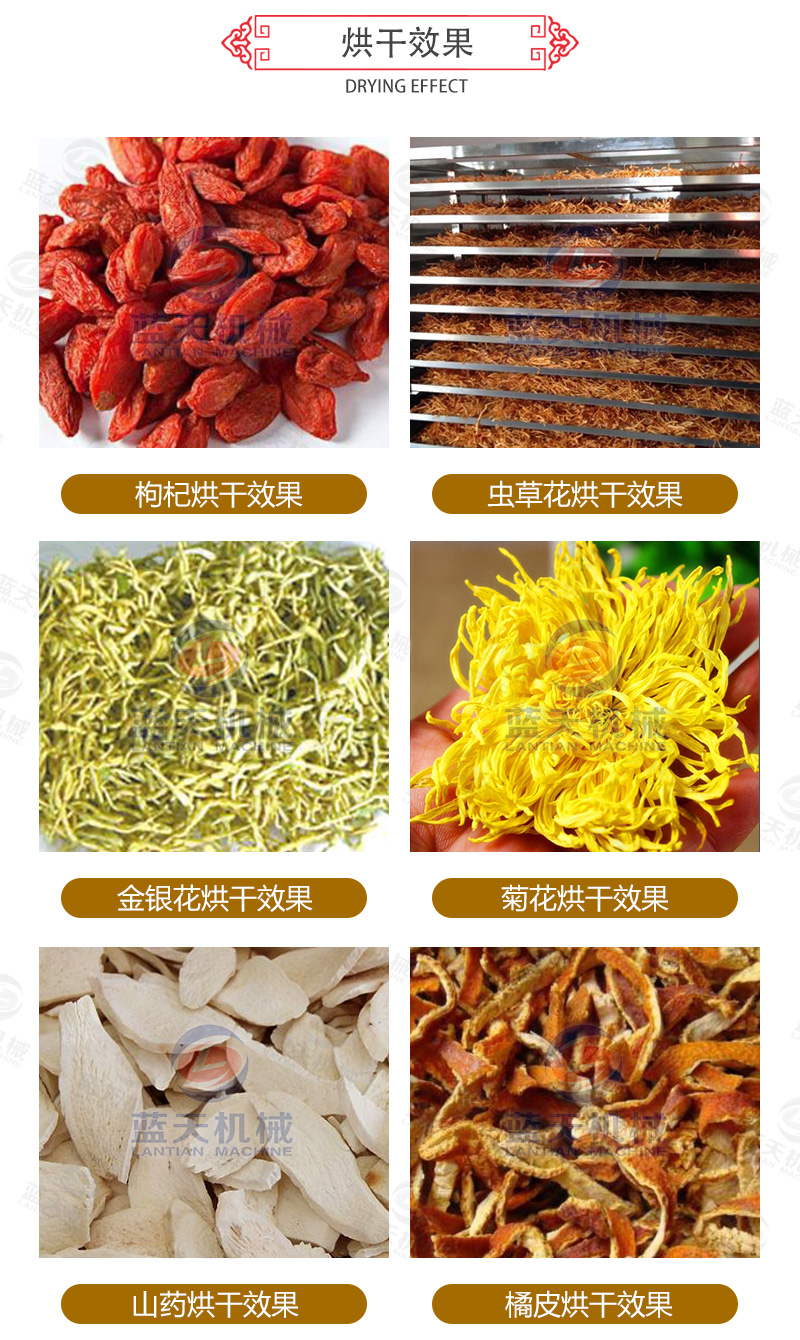 枸杞網(wǎng)帶式烘干機烘干效果
